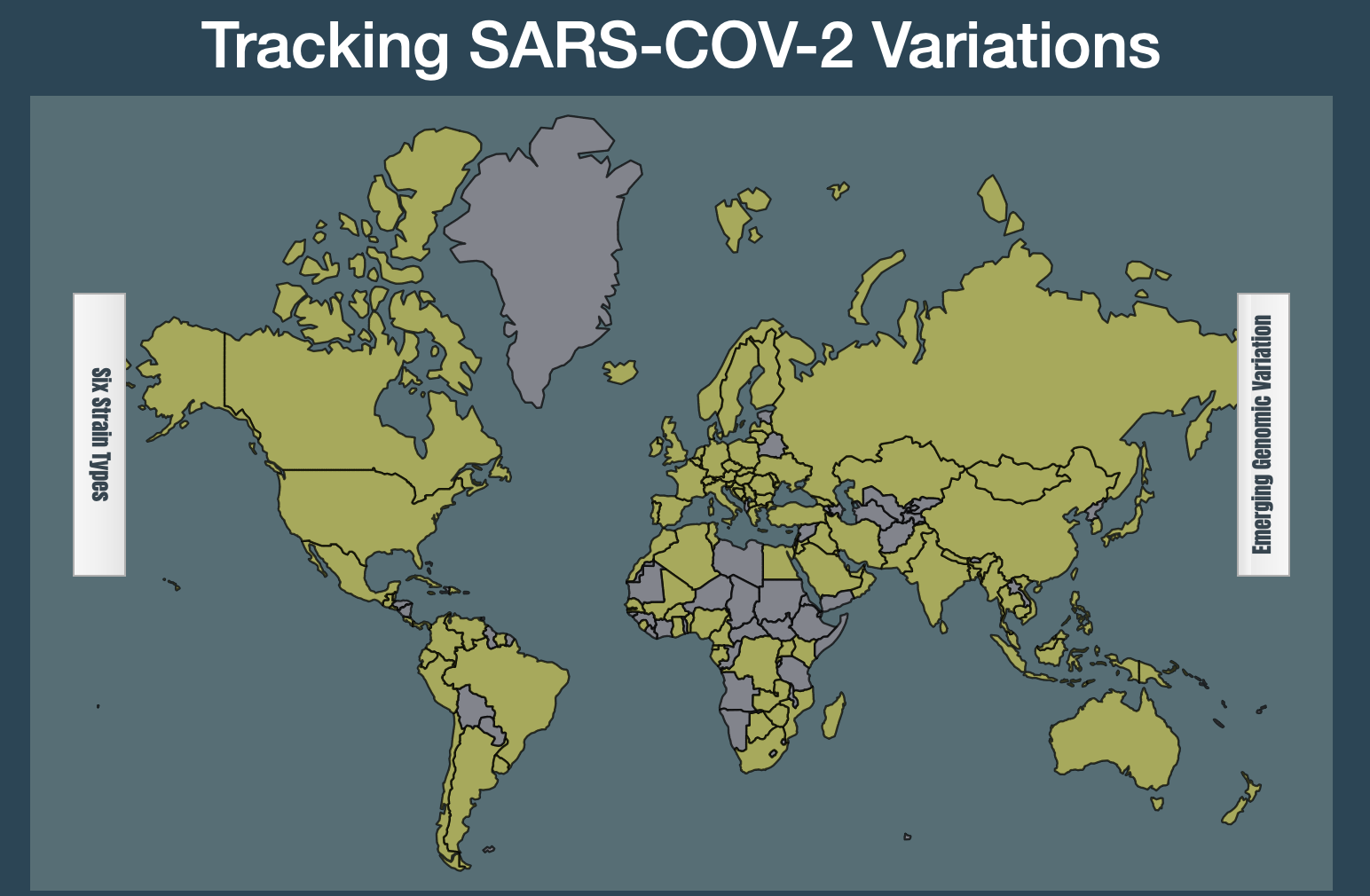 Tracking SARS-CoV-2 Variation
